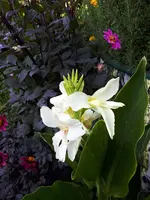 20200920_161031.webp