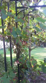 20200920_135538.jpg 20200920_135538.jpg