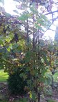 20200920_135532.jpg