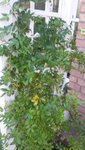 20200920_135912.jpg