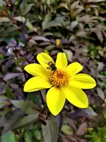 IMG_20200910_122737_2.jpg