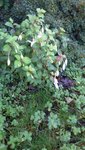 20200920_140012.jpg