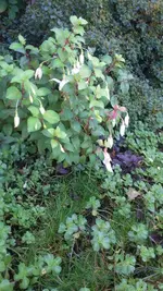 20200920_140012.webp