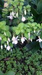 20200920_140006.jpg