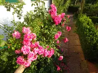 DSC01285.webp