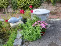 DSC01292.webp
