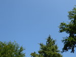 P1010799.JPG