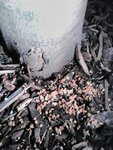 IMG_20200922_200819.jpg