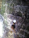 IMG_20200922_200845.jpg