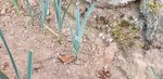 20200922_174203.jpg
