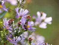 image004.webp