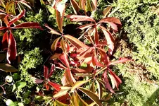 Herbst.webp