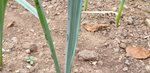 20200923_113539.jpg