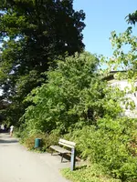 P1010725.webp