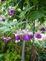 P1010734.webp
