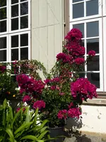 P1010738.webp