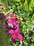 IMG_20200910_125941_1.jpg