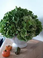 20200904_180108.webp