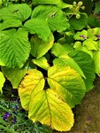 IMG_20200910_113952_1.jpg