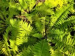 IMG_20200915_130142.jpg