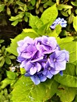 IMG_20200910_124703_3.jpg