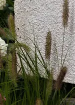 image002.webp