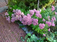 DSC01293.webp