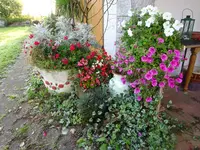 DSC01294.webp
