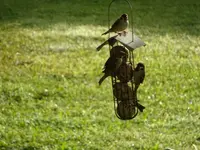 DSC01298.webp