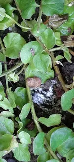 20200924_121719.jpg 20200924_121719.jpg