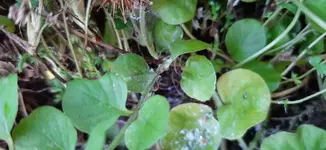 20200924_122019.jpg 20200924_122019.jpg