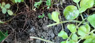 20200924_122030.jpg 20200924_122030.jpg