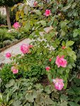 IMG_20200924_173903.jpg