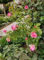 IMG_20200924_173903.webp