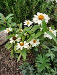 IMG_20200924_174608.jpg