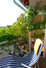 030 Sitzplatz September.webp