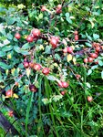 IMG_20200910_121824_1.jpg