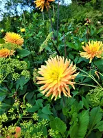 IMG_20200910_121714.webp