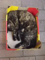 DSCF3087.webp