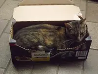 DSCF3089.webp