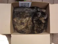 DSCF3092.webp