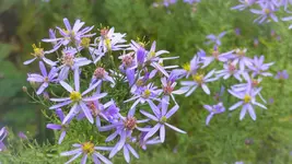 P1240151.webp