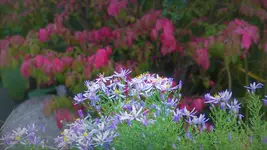 P1240153.webp