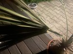 B2F3F24A-7545-4BA8-B6D8-0B897B24ED61.jpeg