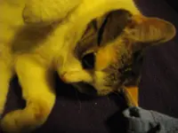 IMGP0118.webp