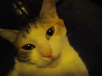 IMGP0108.webp