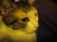 IMGP0109.webp