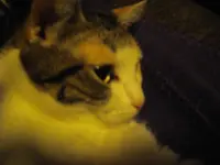 IMGP0110.webp