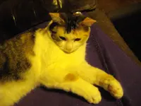 IMGP0111.webp