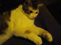 IMGP0112.webp